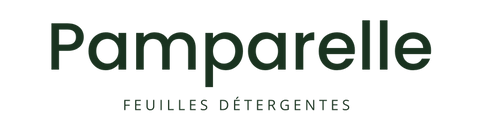 Pamparelle